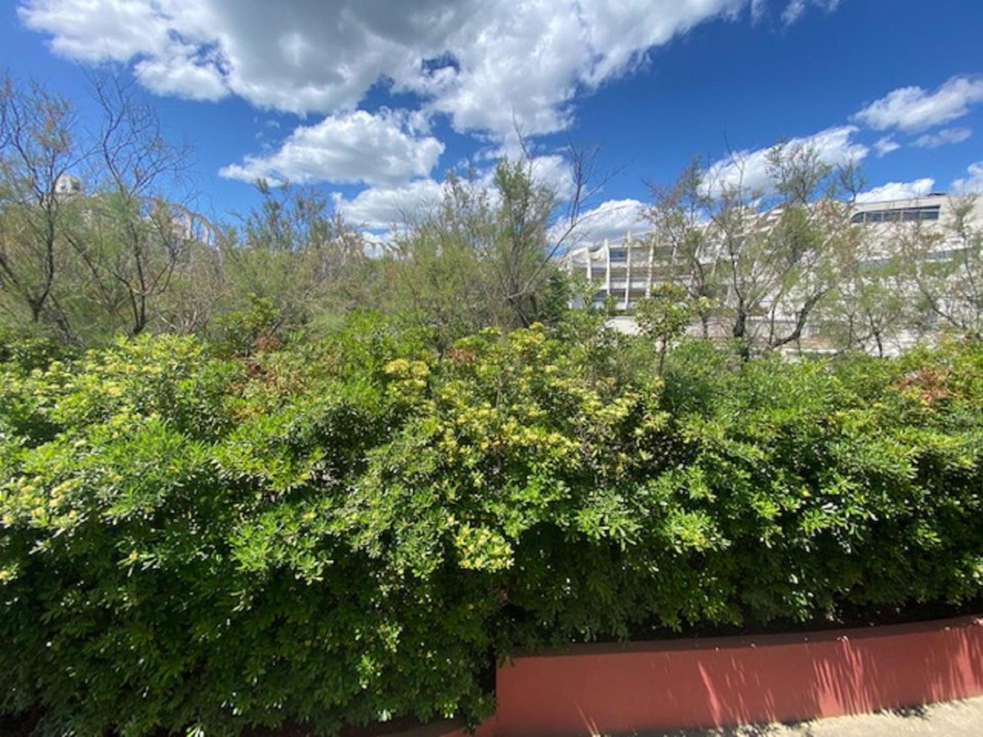 Vittoria Immobilier 4-Reglement Sur Place -Cheques Vacances Acceptes La Grande-Motte Exterior foto